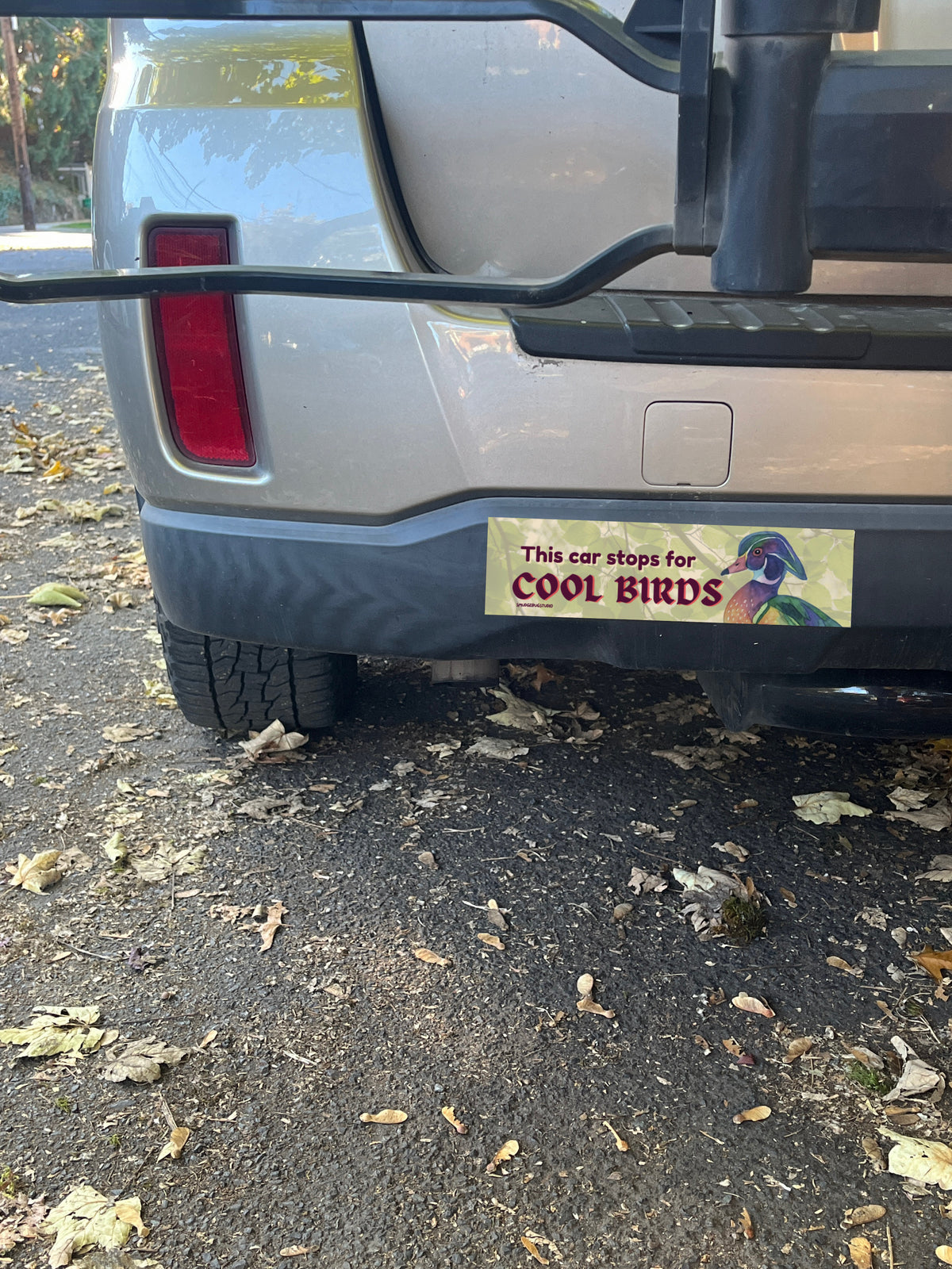 This car stops for COOL BIRDS Bumper Sticker