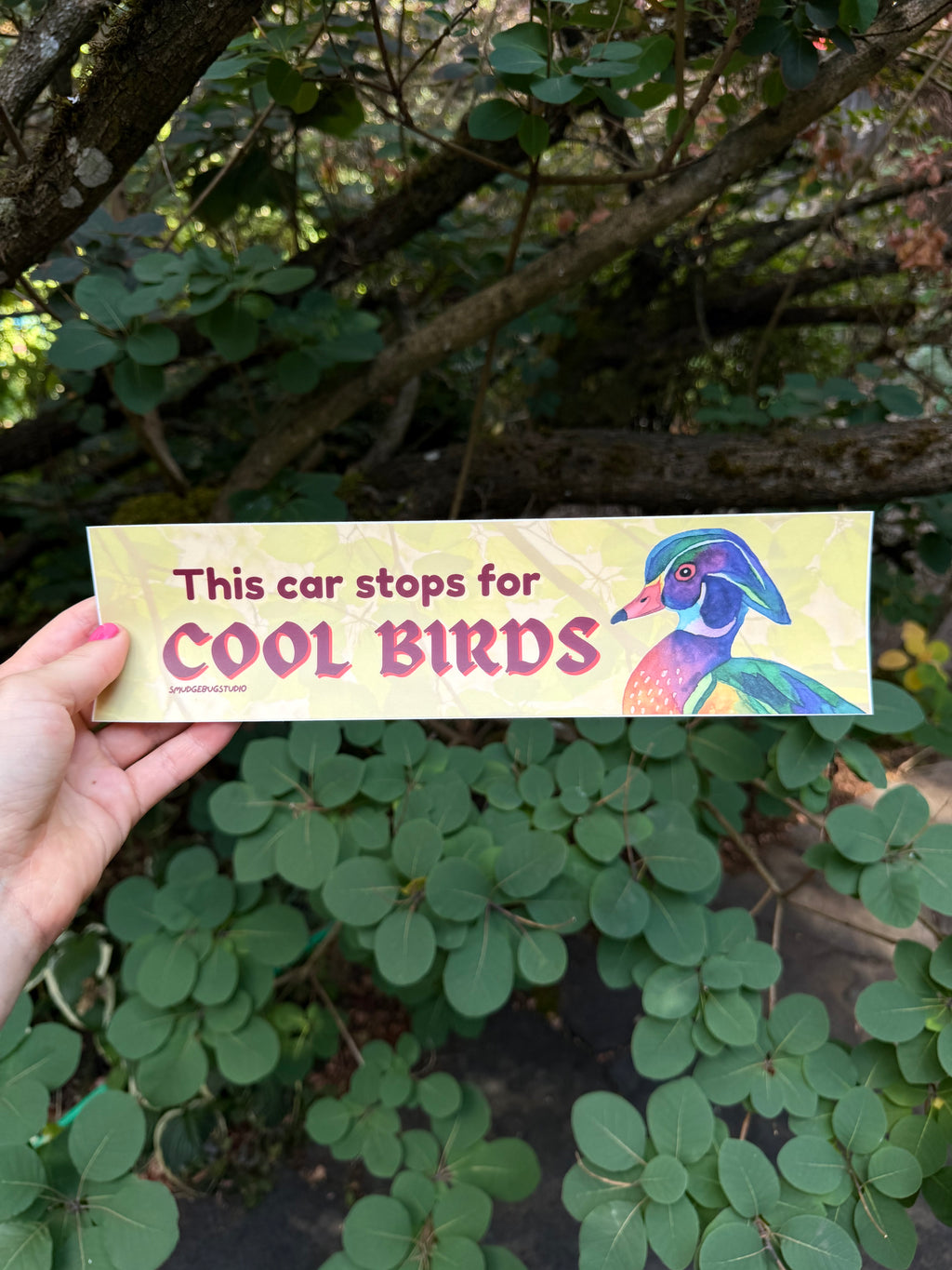This car stops for COOL BIRDS Bumper Sticker