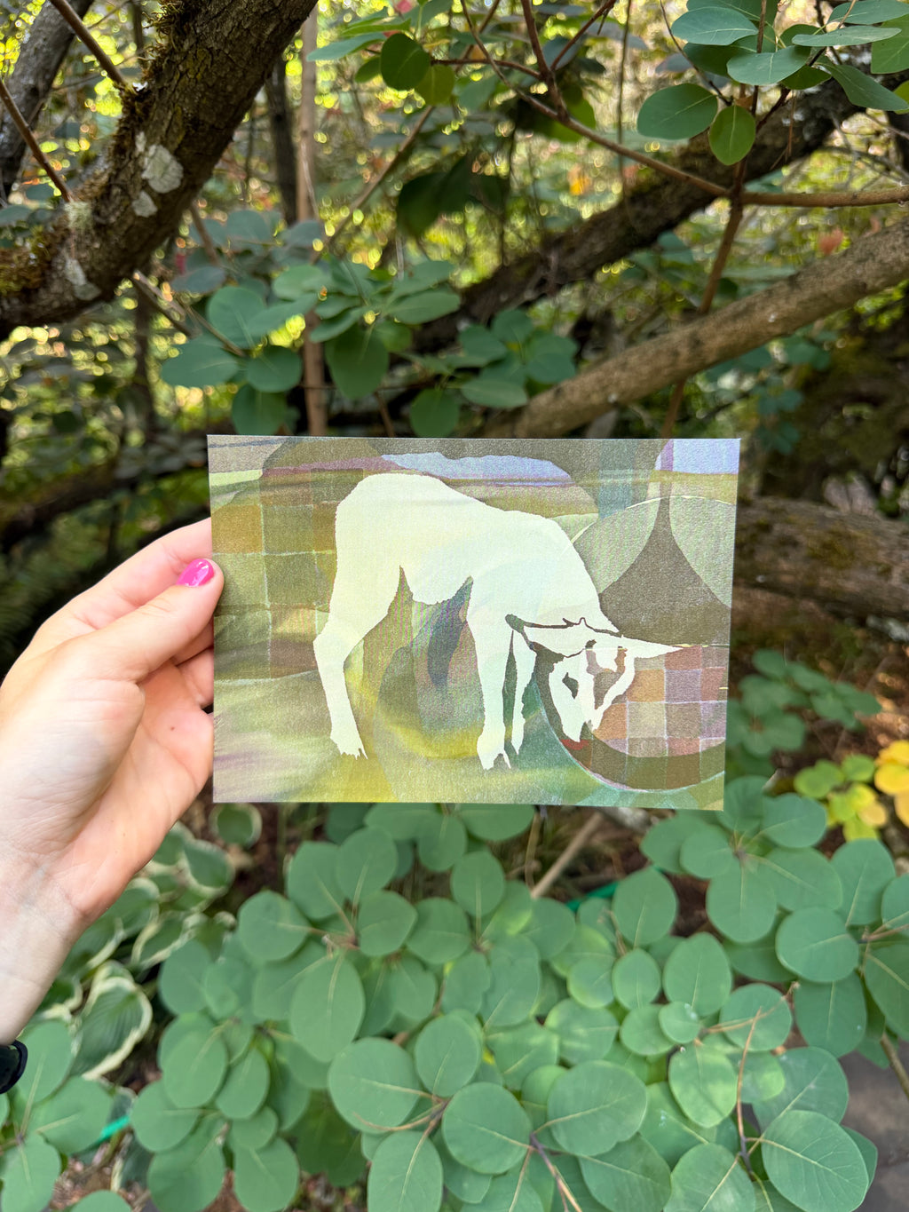 Lamb Print 5x7"