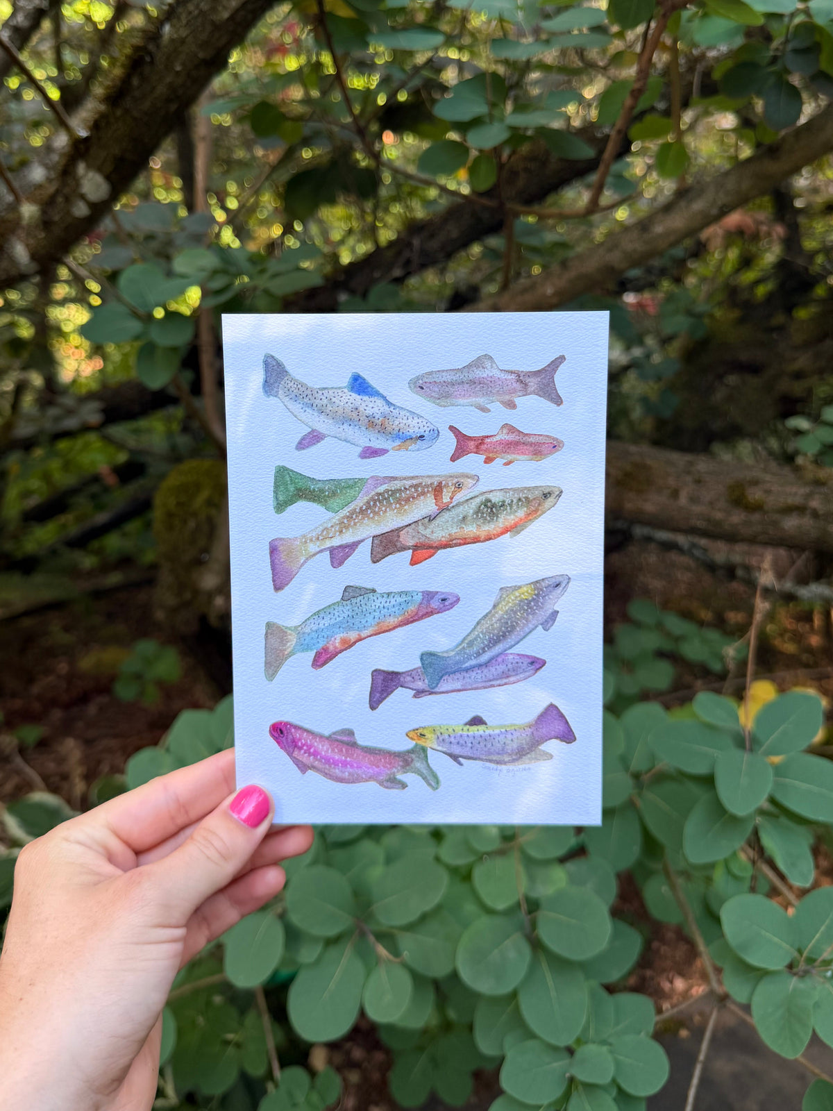 Fish Print 5x7"