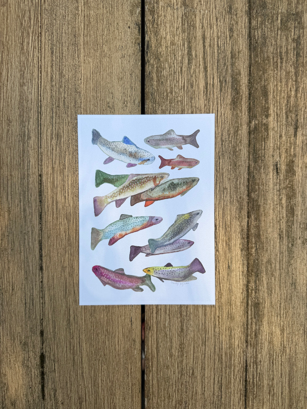 Fish Print 5x7"