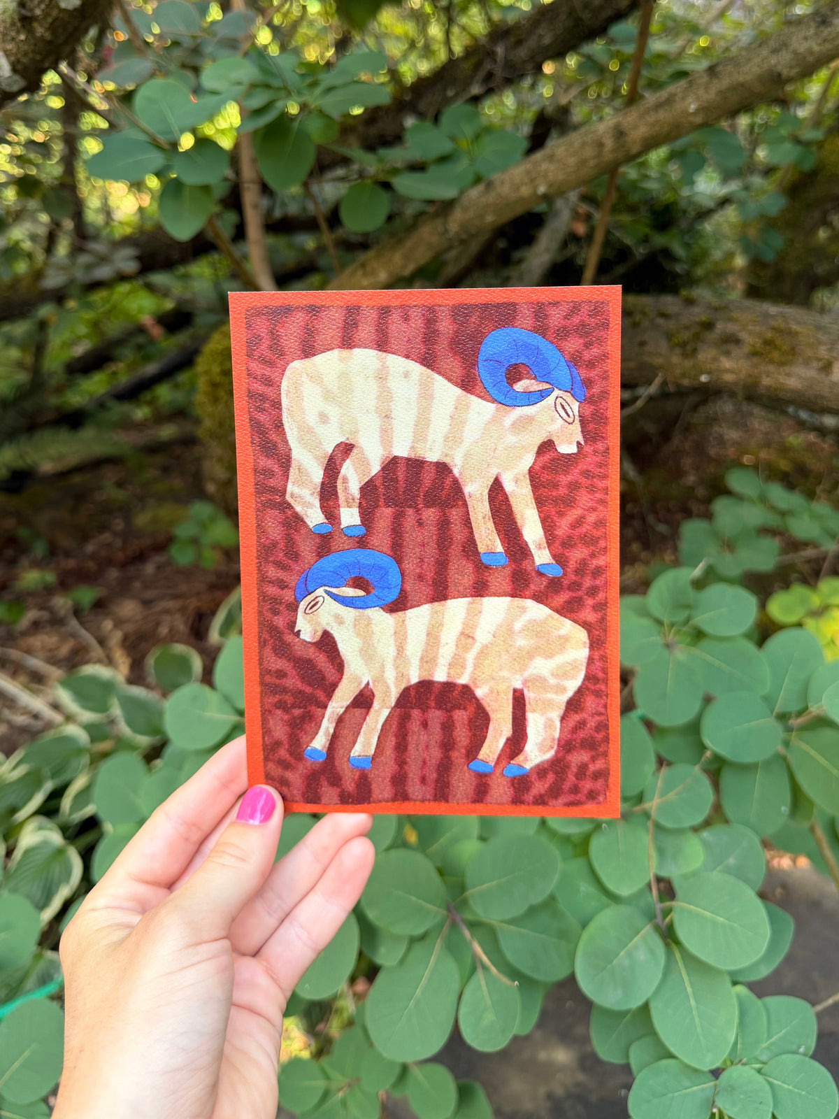 Big Horn Print 5x7"