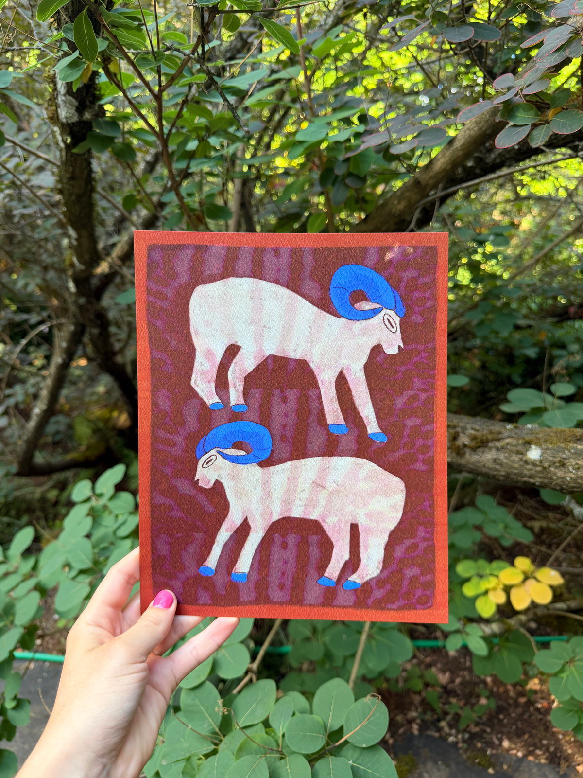 Big Horn Print 8x10"