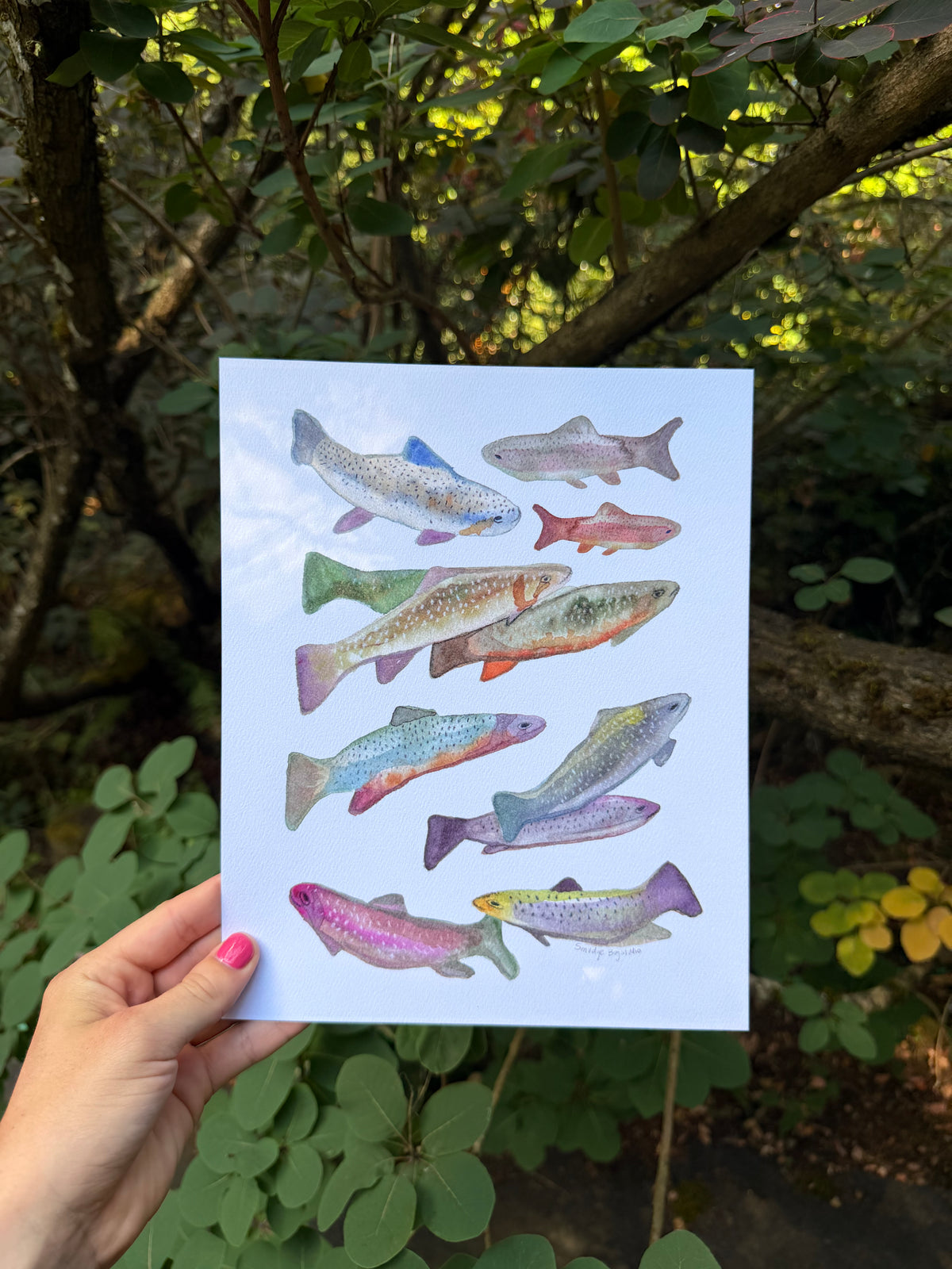 Fish Print 8x10"