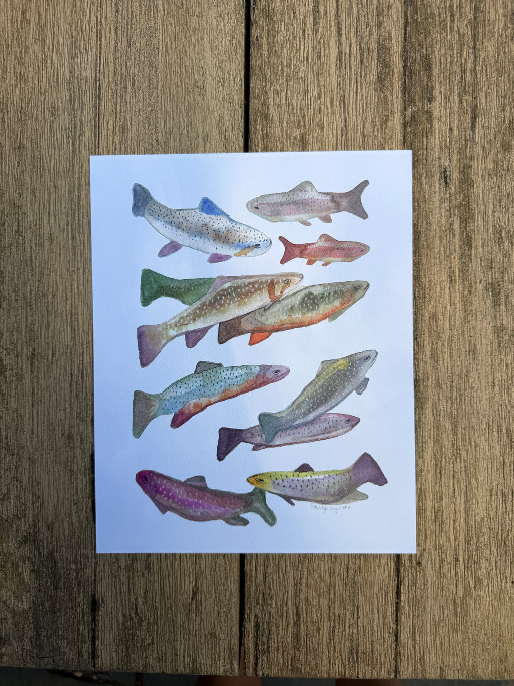 Fish Print 8x10"